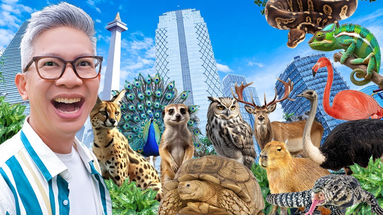 ADA KEBUN BINATANG DI TENGAH KOTA JAKARTA!!