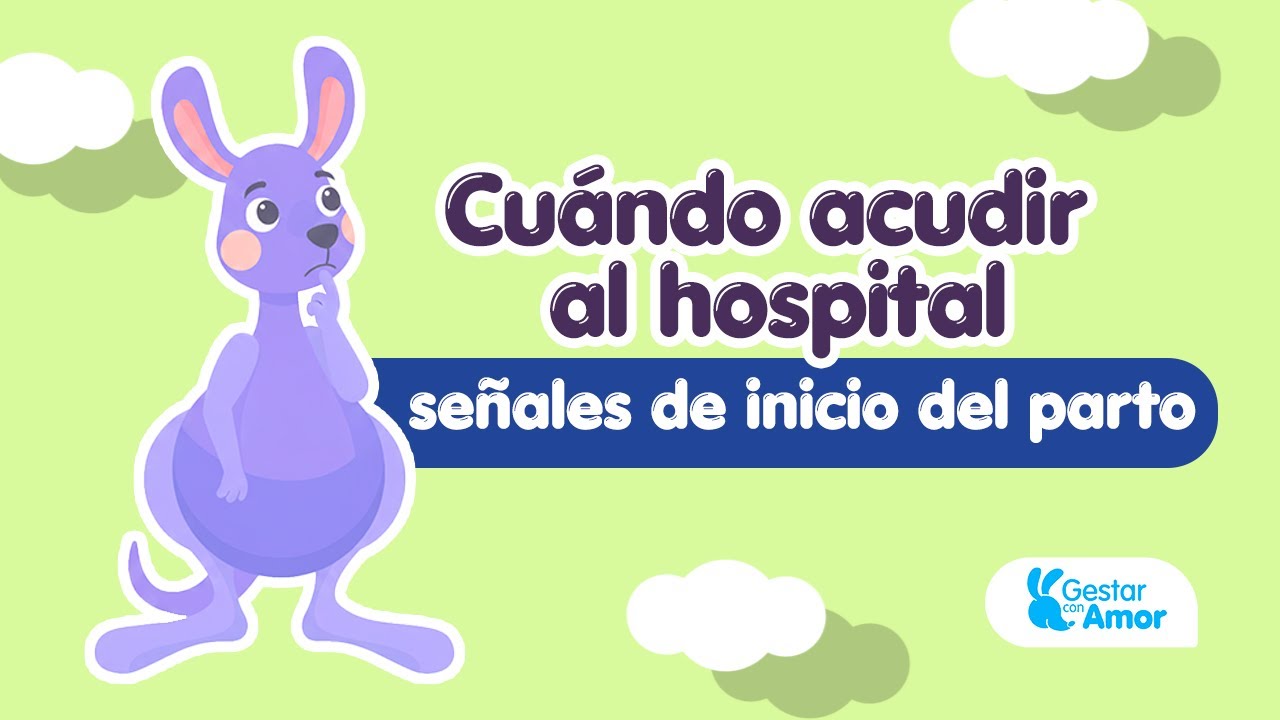 &iquest;Cu&aacute;ndo ir al hospital para el parto? | Se&ntilde;ales y consejos