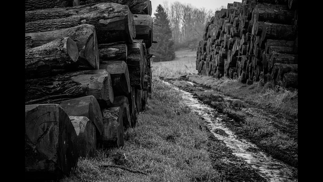 VAN ROSSUM COMPANY PRESENTATION