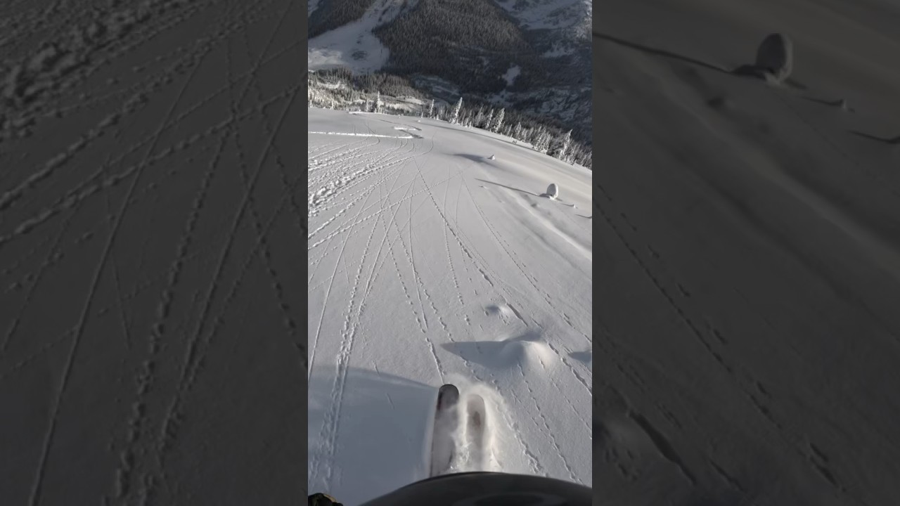 Flying on skis ⛷️ 🪽 ❄️ #armadaskis #powder