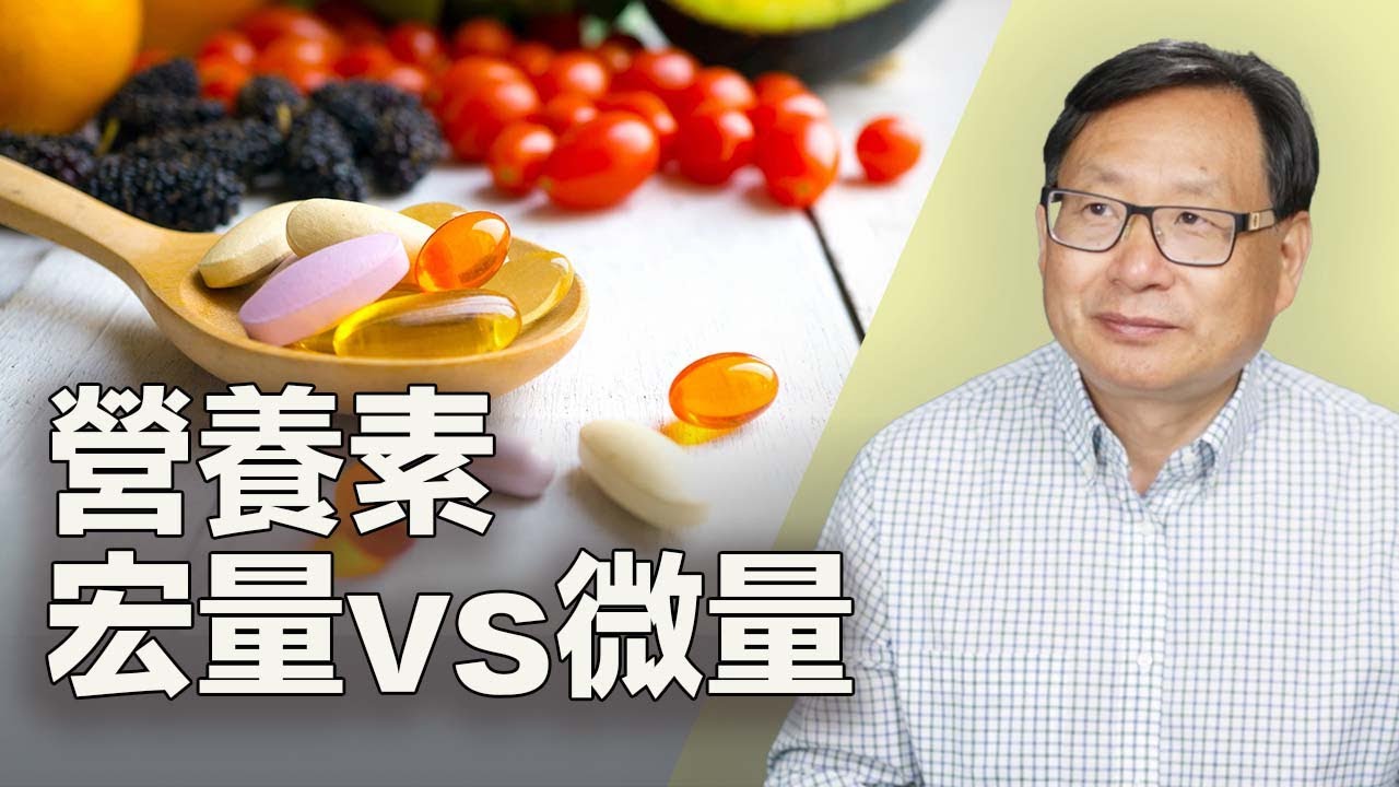 身體真正需要的營養是什麼？宏量營養素、微量營養素怎麼區分？