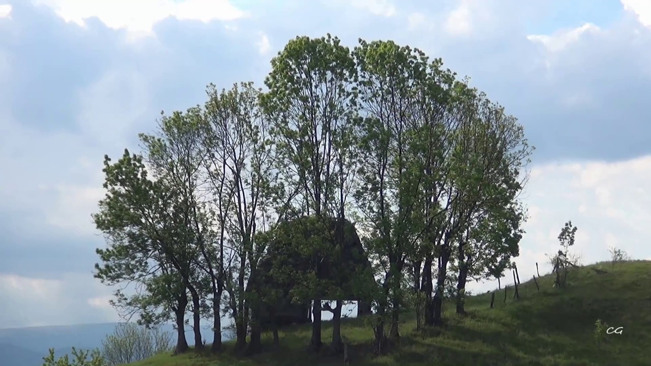 Undeva in Apuseni 17