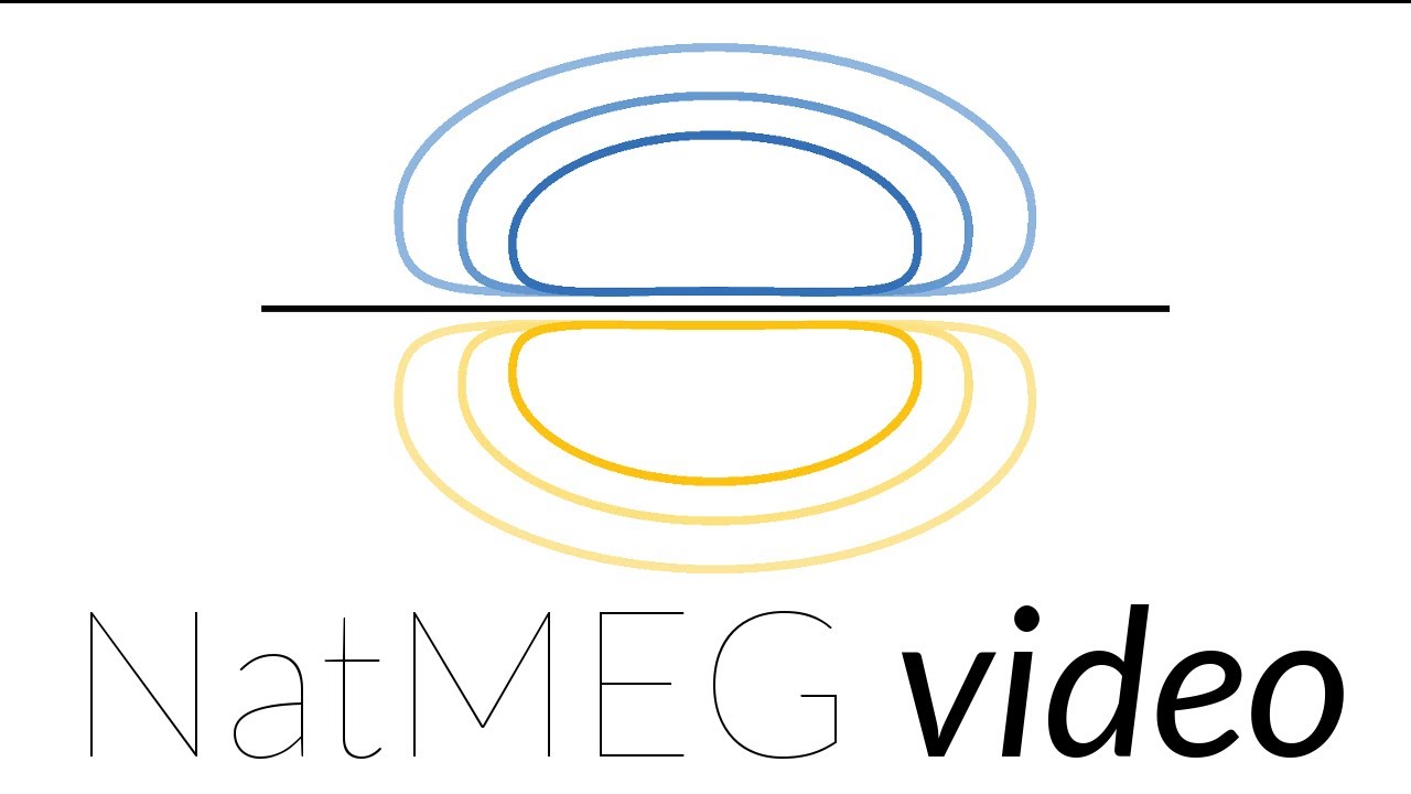 NatMEG lecture: Neural bases of (un)conscious processes by Jean-R&eacute;mi King