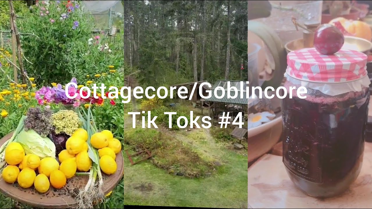 Cottagecore/Goblincore Tik Toks #4
