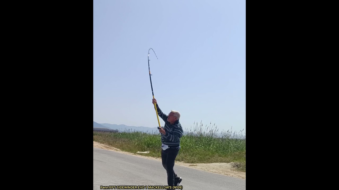 Penn 13, 6FT PPT Evo 1 Sidewinder Mackellow (№09) #fishing #pendulum #carpfishing