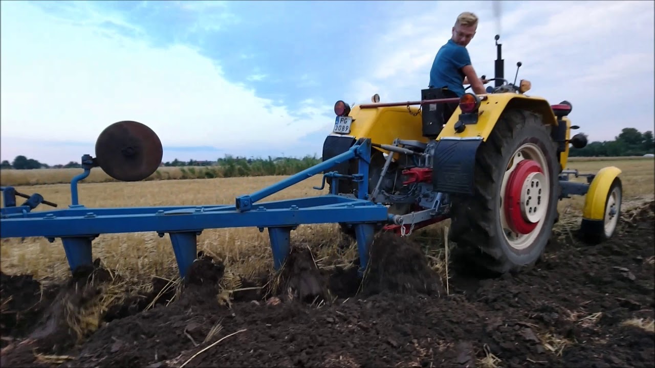 Ursus C330M - Podorywka 5x25 lato 2018