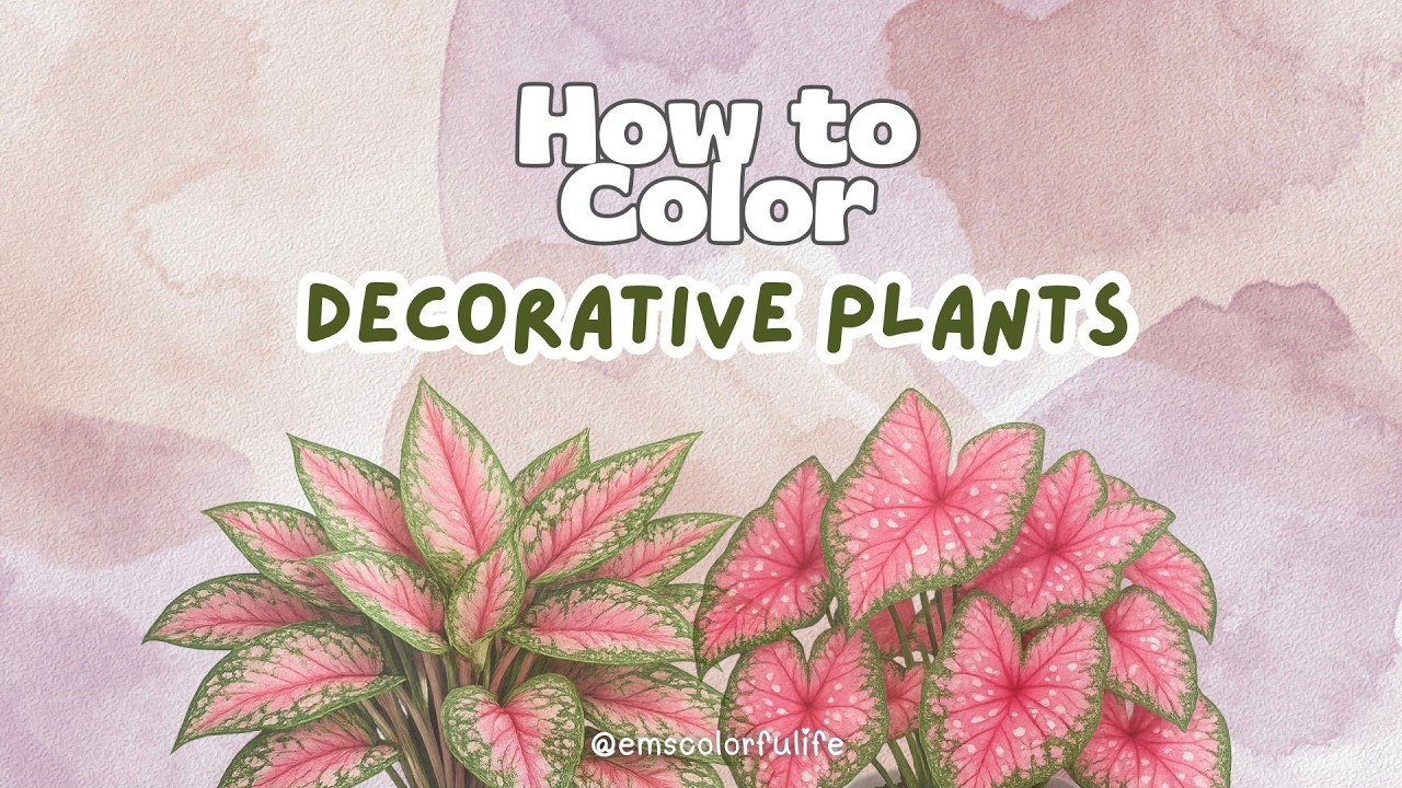 HOW TO COLOR Decorative Plants | Alcohol Markers & Acrylic Markers