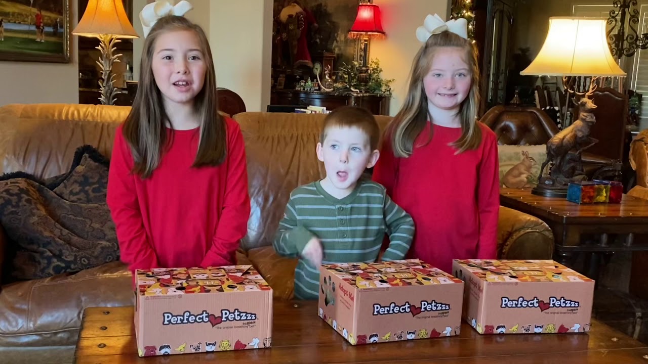 3B Kids of Texas - Perfect Petzzz