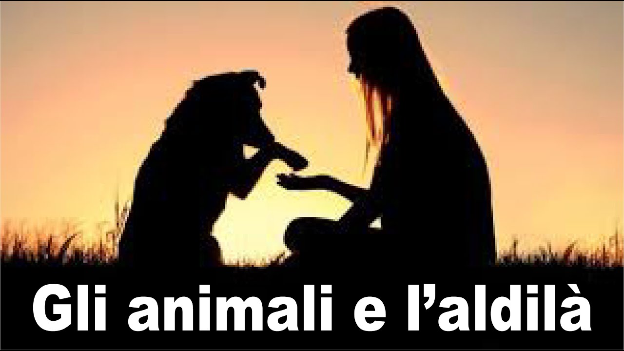 Gli Animali e l’Aldilà