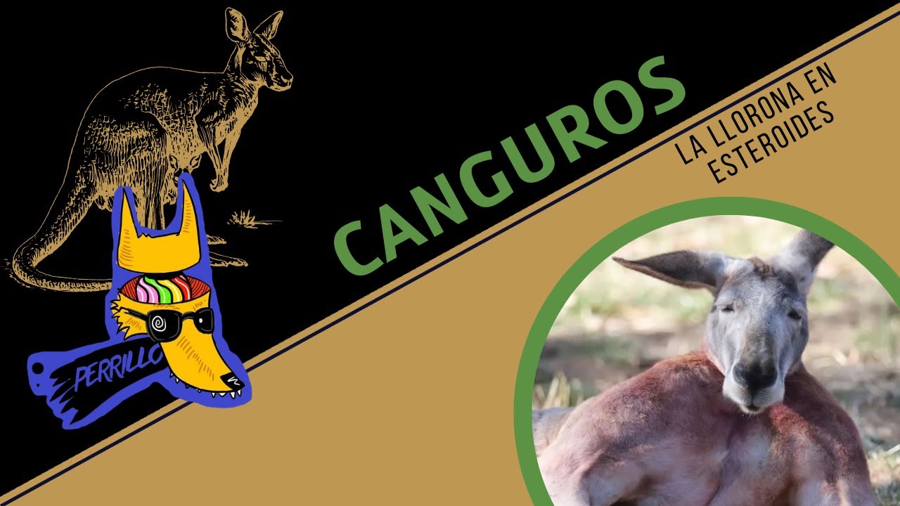 Canguros: En Australia las vacas son bien raras. | Ep 64 | CULTURA COLMILLUDA