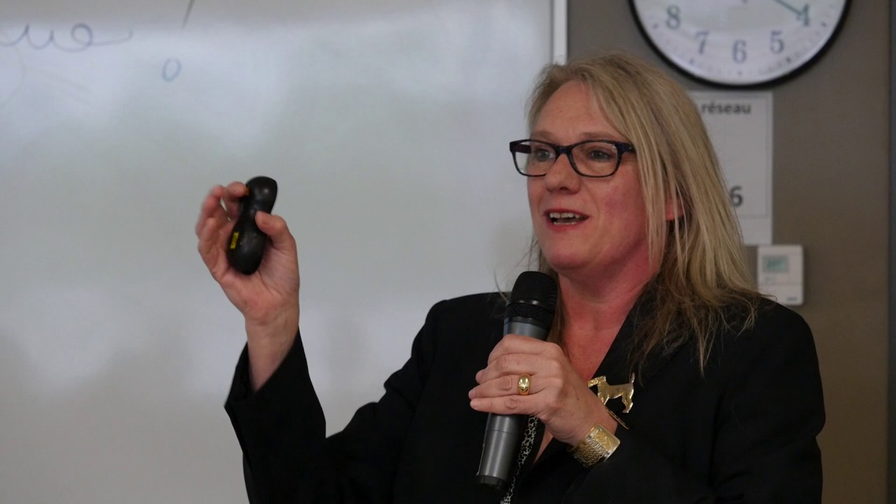 Dispositif en soutien à la pratique réflexive des enseignants novices en  formation professionnelle