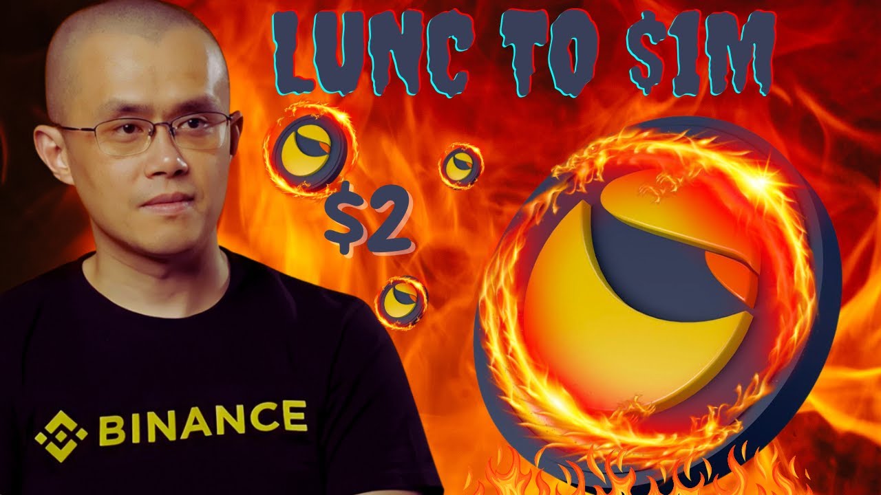 IF YOU HOLD 1 MILLION LUNC COINS BEFORE MASSIVE BURN - TERRA LUNA BURN - PRICE CALCULATION