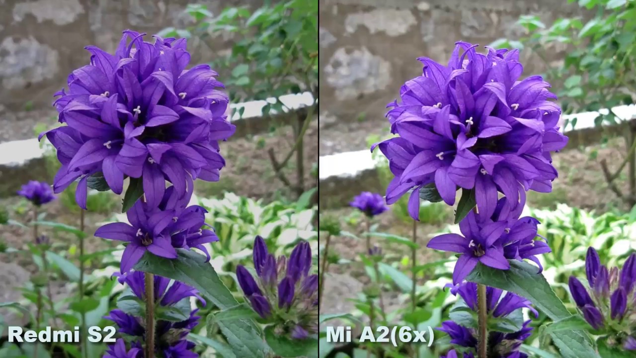 Xiaomi Redmi S2 Vs Xiaomi Mi A2 6X Camera Test