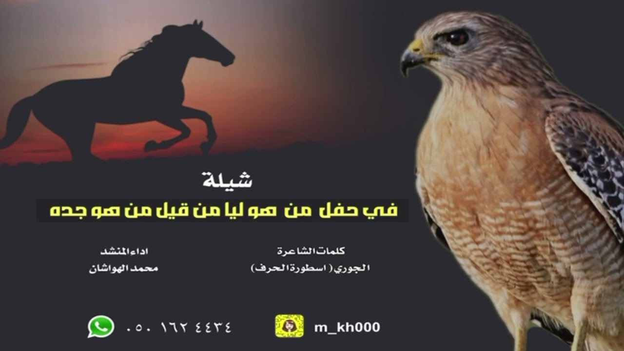 في حفل من هو ليا من قيل من هو جده كلمات الجوري اداء محمد الهوشان 2025 حصرياً