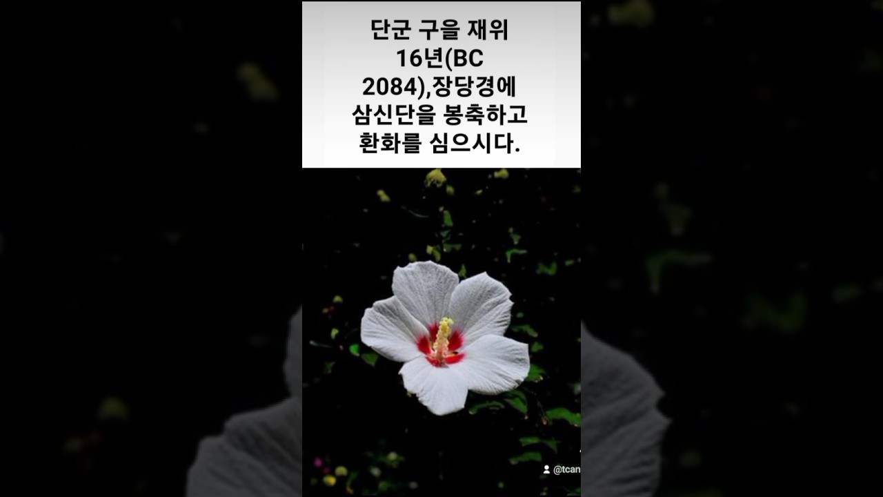 단군 구을 재위 16년(BC 2084),장당경에 삼신단을 봉축하고 환화를 심다#환단고기,단군세기
