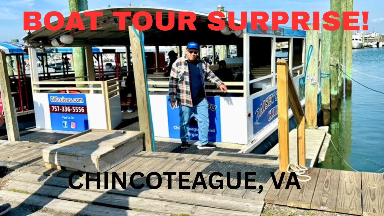 Chincoteague, VA Wildlife Boat Tour | Looking for Wild Ponies, Dolphins & Eagles on a Windy Fall Day