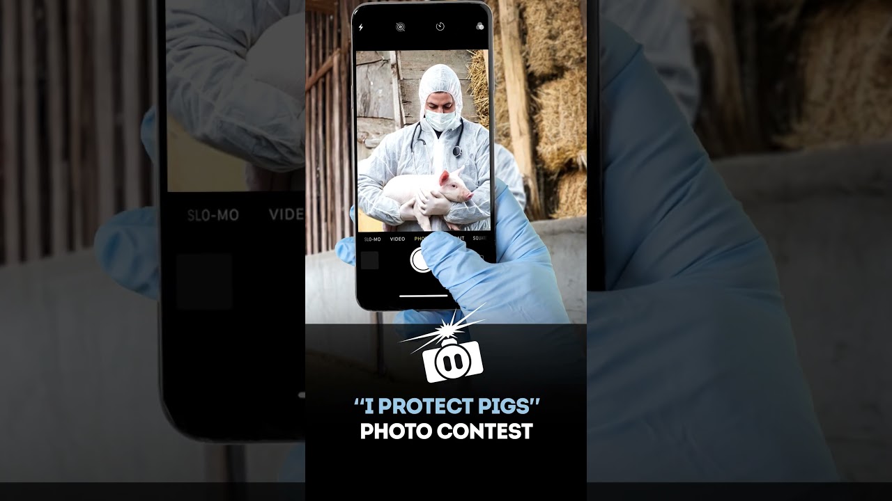 Enter the “I Protect Pigs” Photo Contest