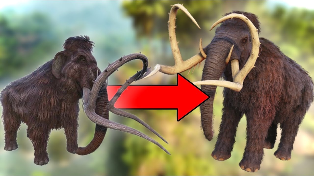 Каждое существо с обновлением TLC в Ark!