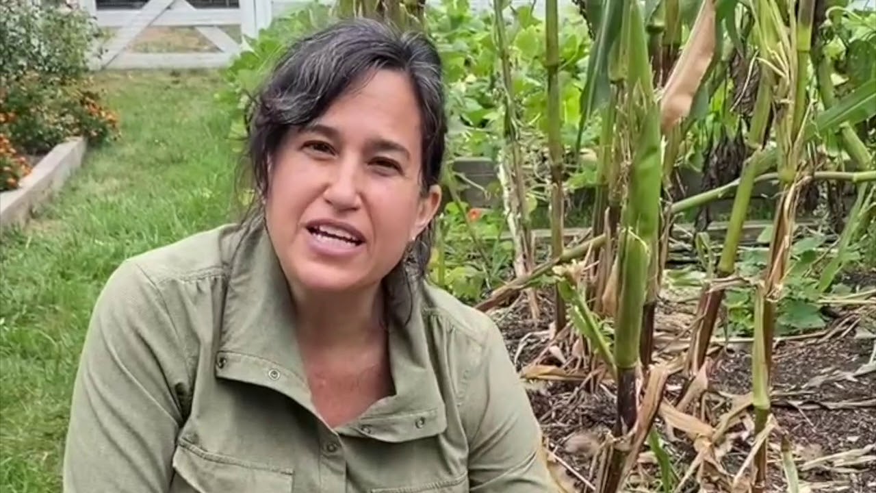 The Edible Gardens: Fall Planting