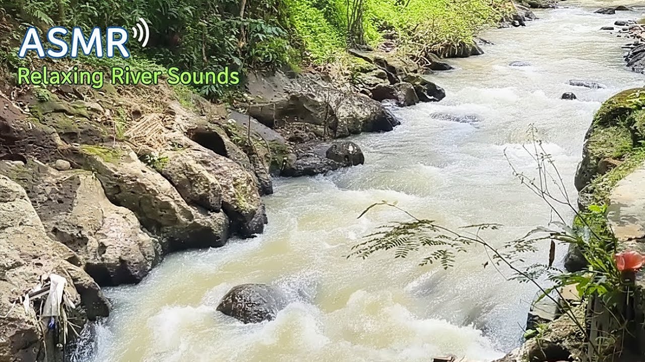 [ ASMR ] SLEEP INSTANTLY: Deep River White Noise (No Talking)