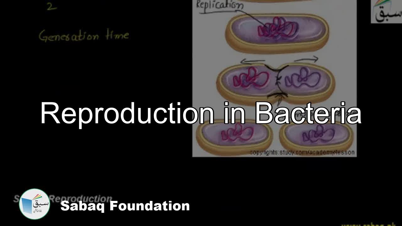 Reproduction in Bacteria, Biology Lecture | Sabaq.pk