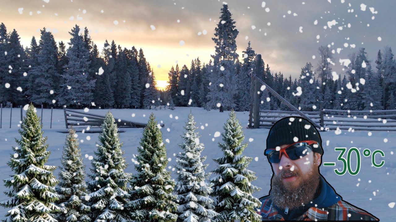 #36 Kanada –  COWBOSSSS! malkaujam ir toliau šeriam mergaites/ linksmų ir gražių švenčių!🎄🎁
