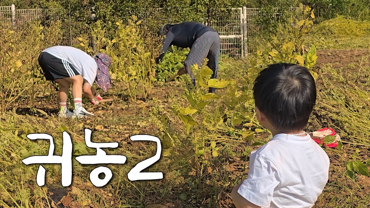 저희 또 귀농합니다