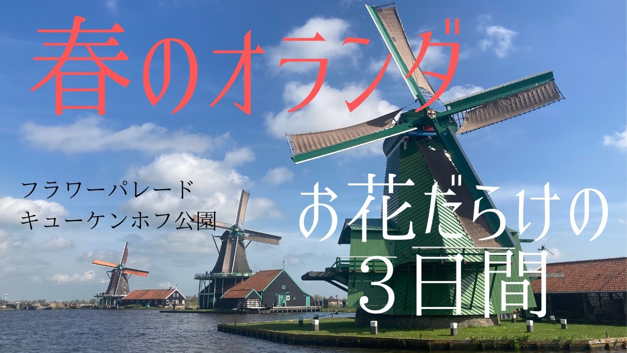 春のオランダはお花だらけ！アムステルダムから足を伸ばしてチューリップの公園とフラワーパレードで大満足の女子旅