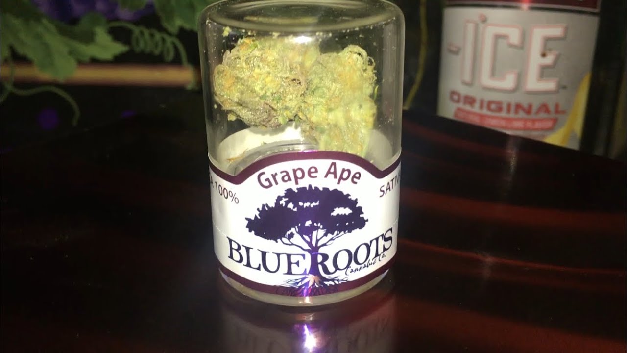 Grape Ape Strain Review