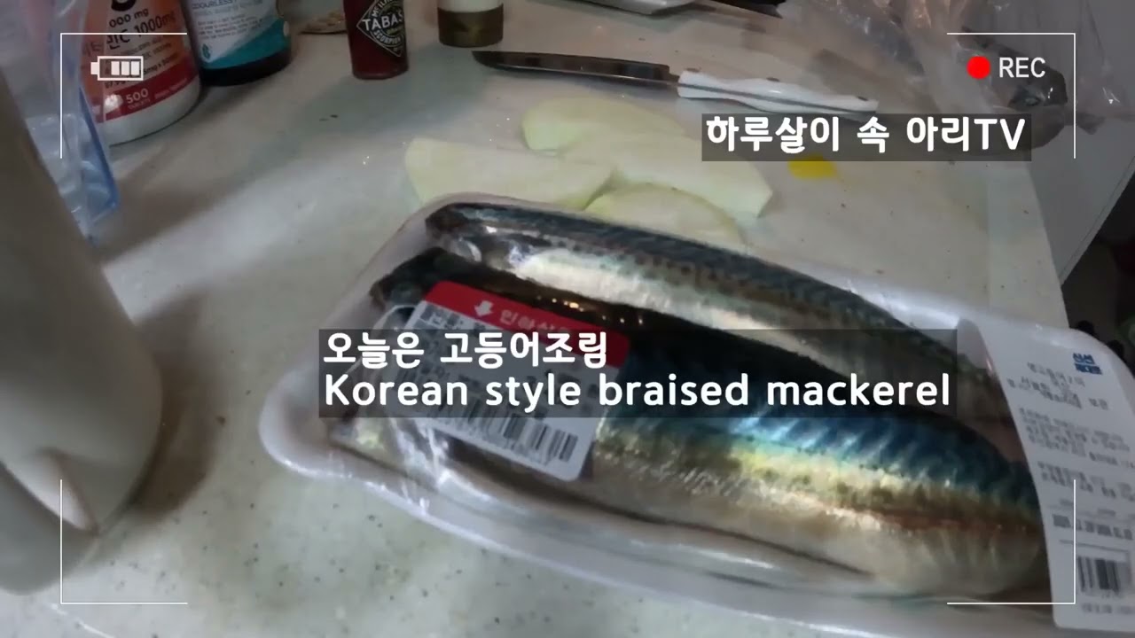 (하루살이)12월마지막날