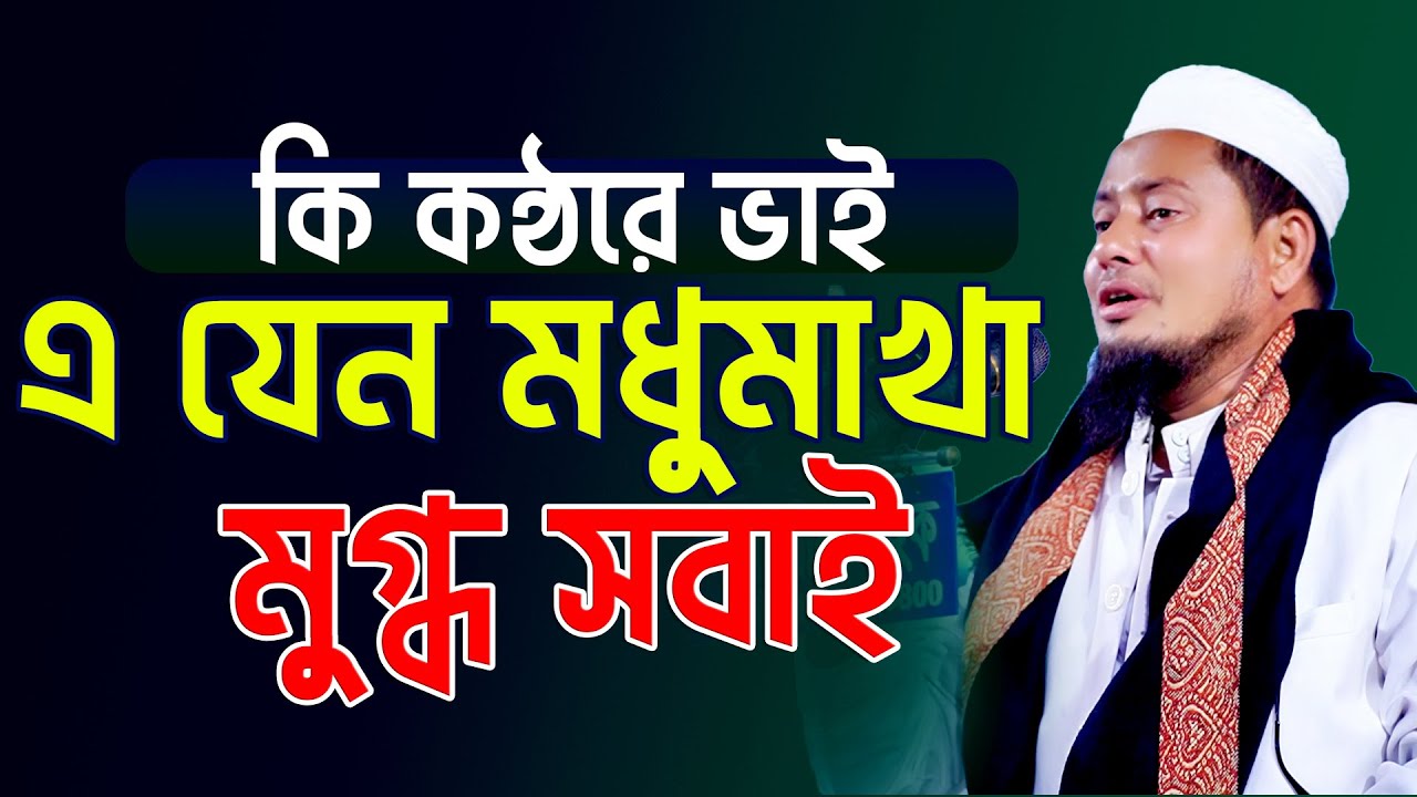 কি কন্ঠে ভাই এ যেন মধুমাখা মুগ্ধ সবাই মাওলানা নুরুল হক নোমানী