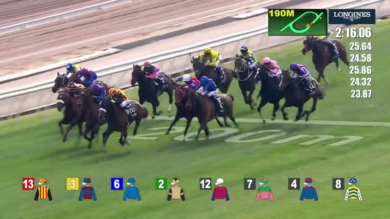 Hong Kong Vase 2024 - GIAVELLOTTO (3YO+ WFA G1) Group 1 Sha Tin 8 December 2400m