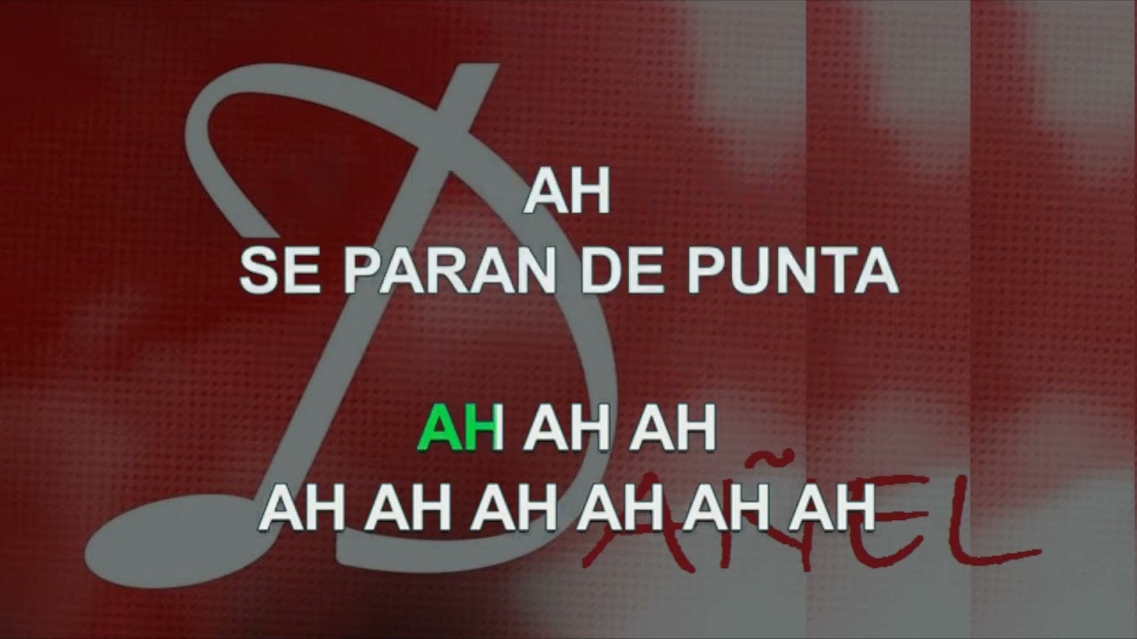 PALITO ORTEGA - DESPEINADA -  KARAOKE