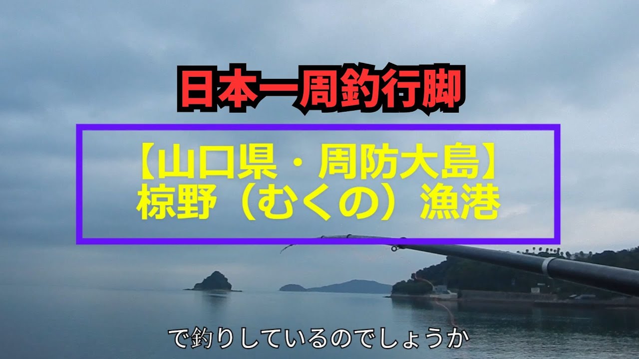 【山口県】周防大島：椋野漁港【ぶっこみ釣り】