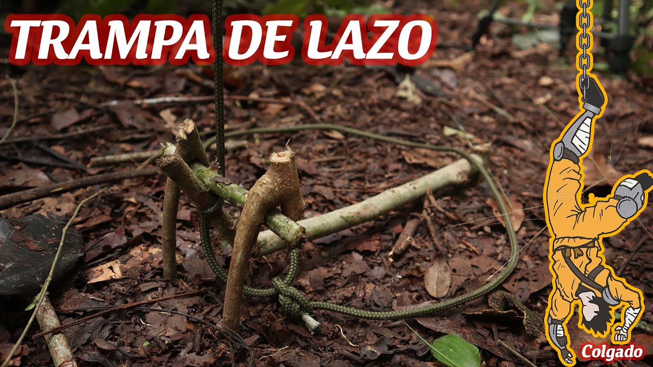 TRAMPA de Cacería // Supervivencia, Como hacer trampas de CACERÍA
