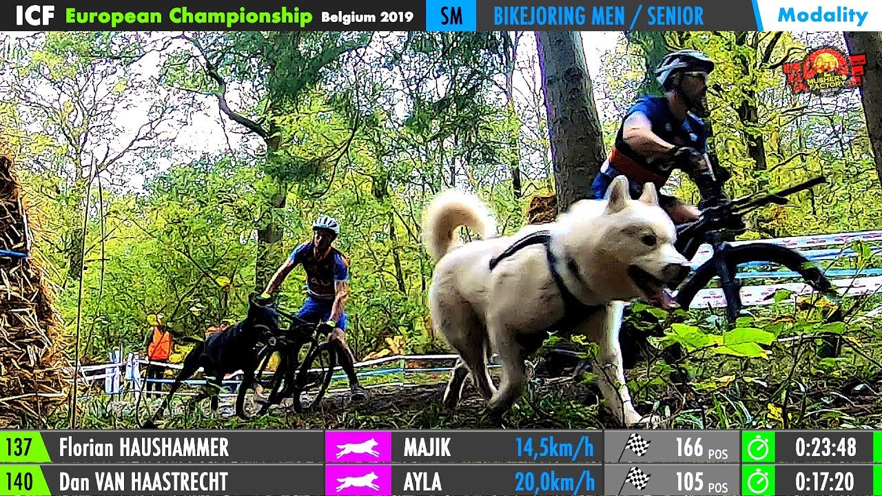 EUROPEAN CHAMPIONSHIP 2019 [Part2: BIKEJORING RACE]