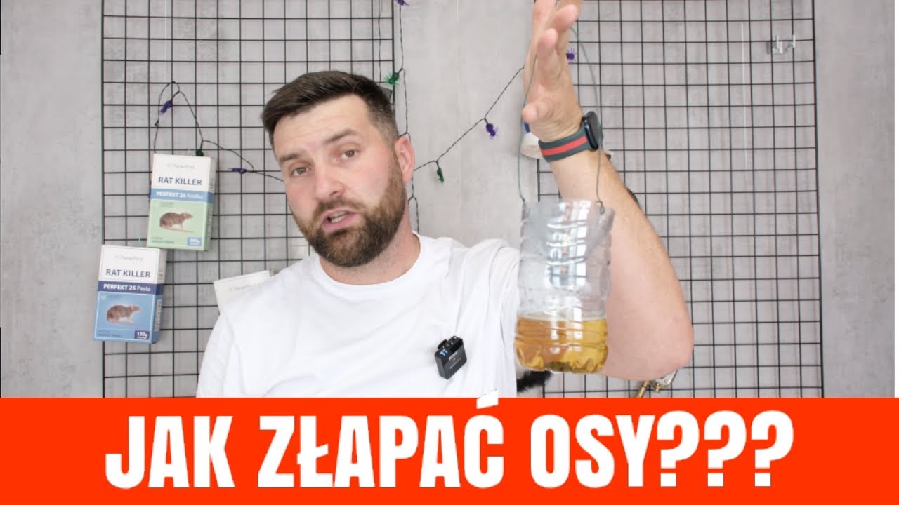 NAJBARDZIEJ SKUTECZNA PUŁAPKA NA OSY 038 #pogromca szkodnik&oacute;w #szerszenie #hornet #osy