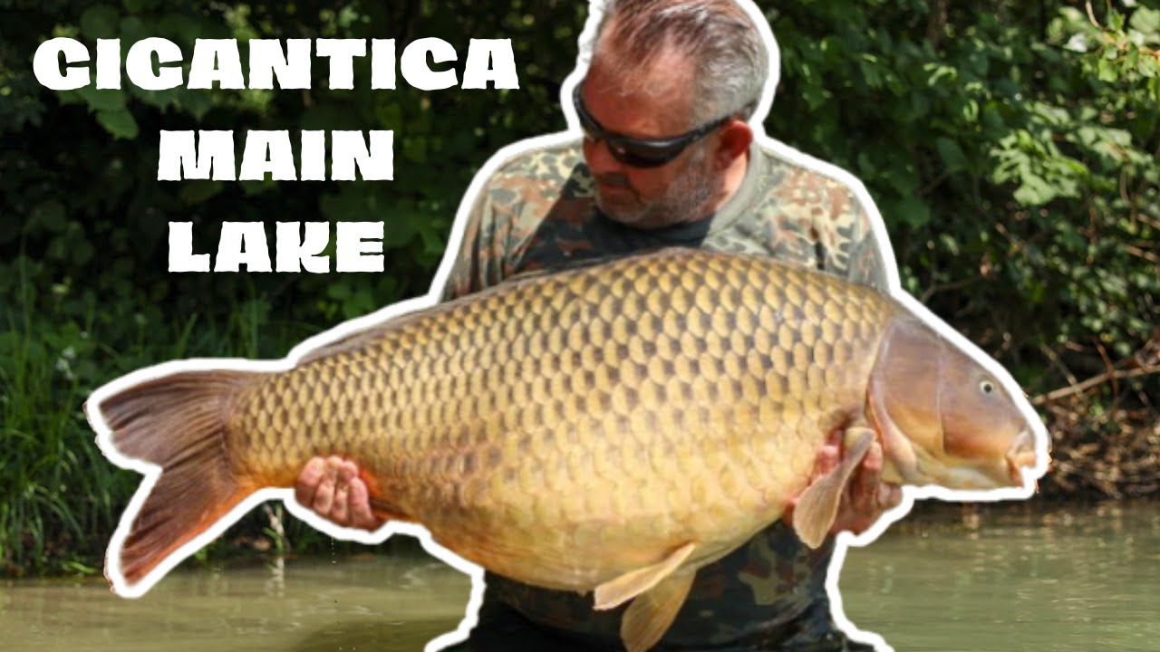 GIGANTICA MAIN LAKE | 2025