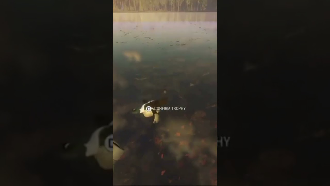 Max score max weight￼ diamond duck￼ #cotw #hunting #thehuntercotw #coastalforest #expansiveworlds
