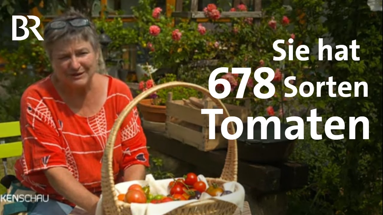 Sorten aus aller Welt: Tomatenexpertin aus Bad Staffelstein | Frankenschau | BR