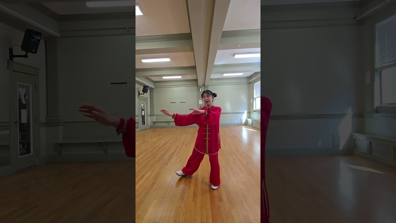 Одиночный кнут