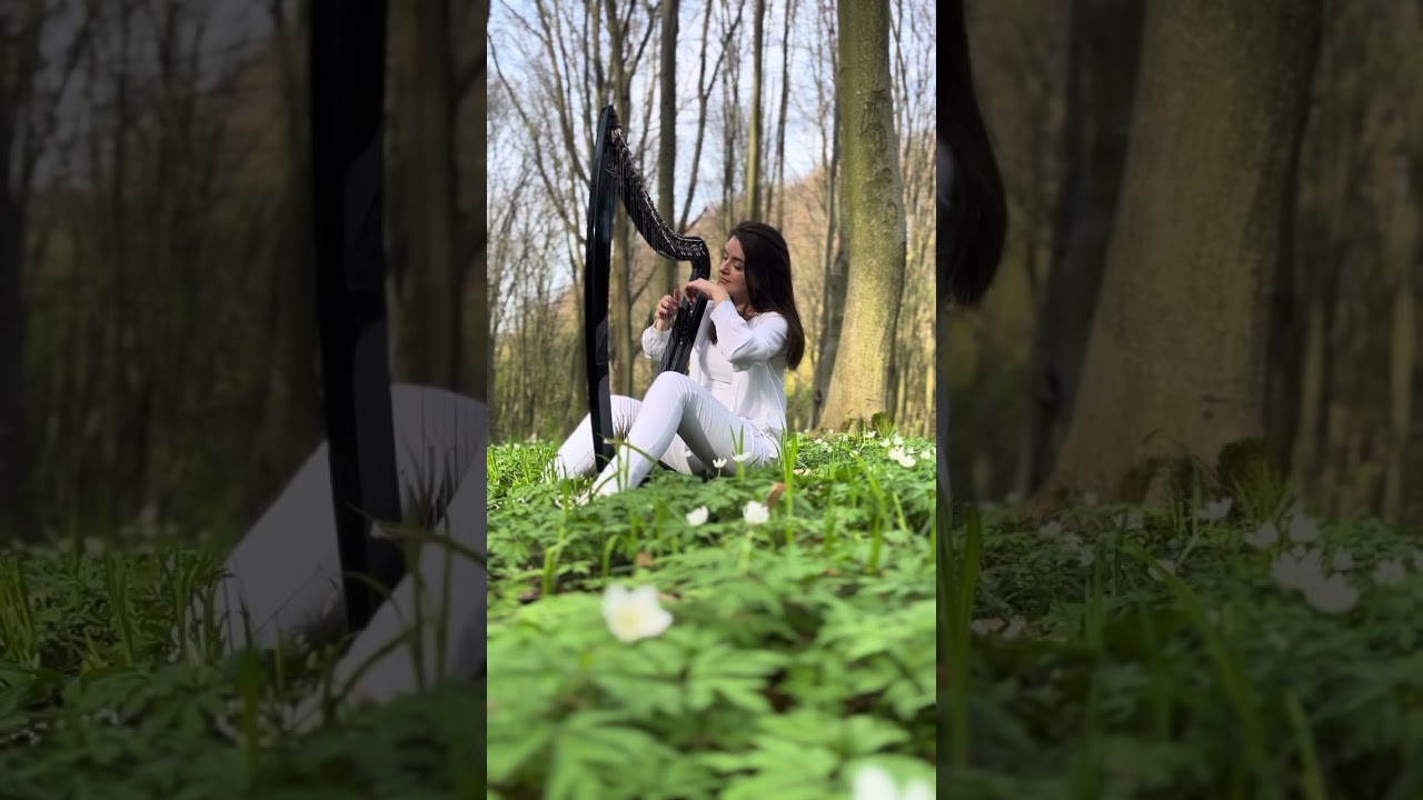 For River - electric harp. Ivanna Hetto