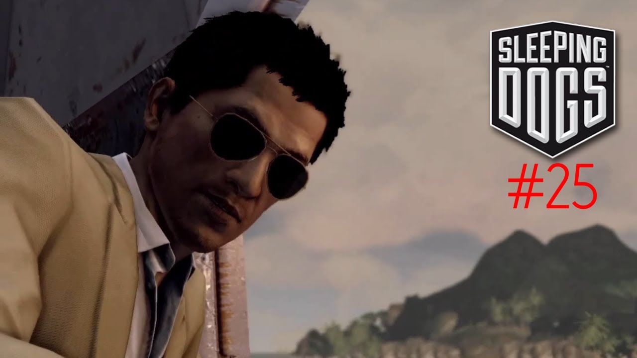 Sleeping Dogs - The Zodiac island (25)