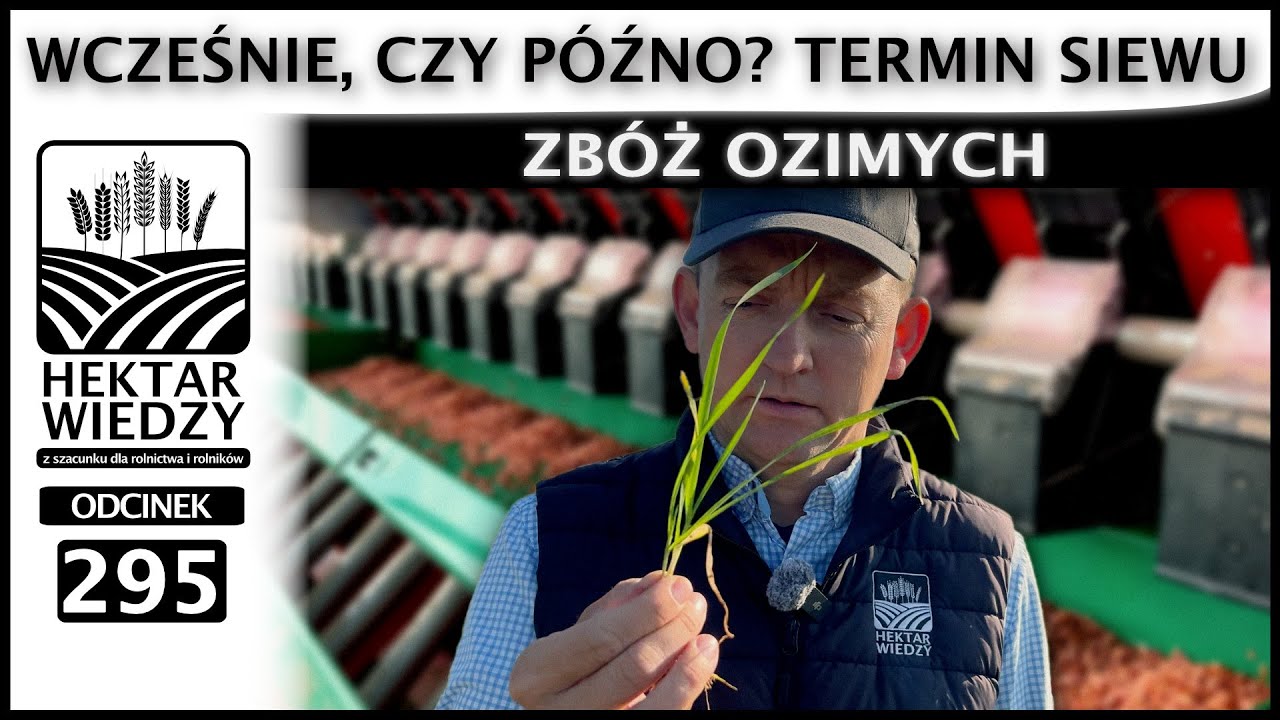 WCZEŚNIE CZY P&Oacute;ŹNO? TERMIN SIEWU ZB&Oacute;Ż OZIMYCH. | ODCINEK 295