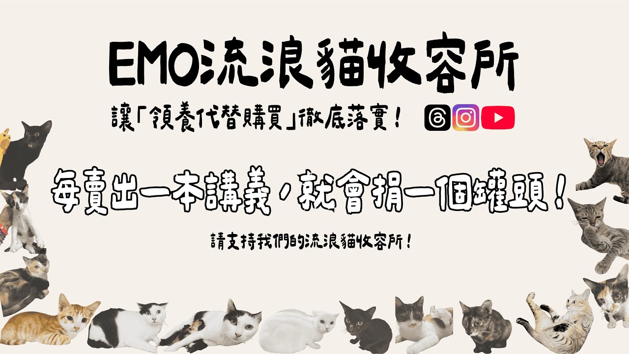 EMO流浪貓收容所-貓咪24小時陪伴