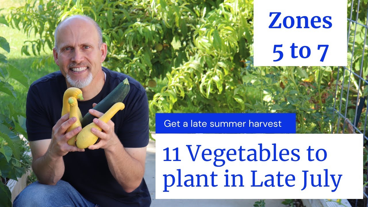 11 Vegetables to Plant in Late July - Zones 5 to 7