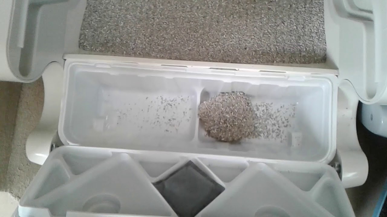 New liitermaid multicat litter box compared to regular size littermaid box