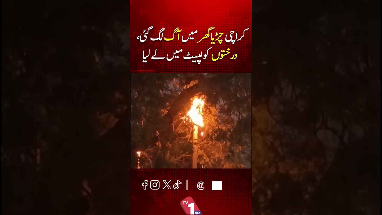 Fire Breaks Out At Karachi Zoo, Trees Engulfed In Flames | TV One USA