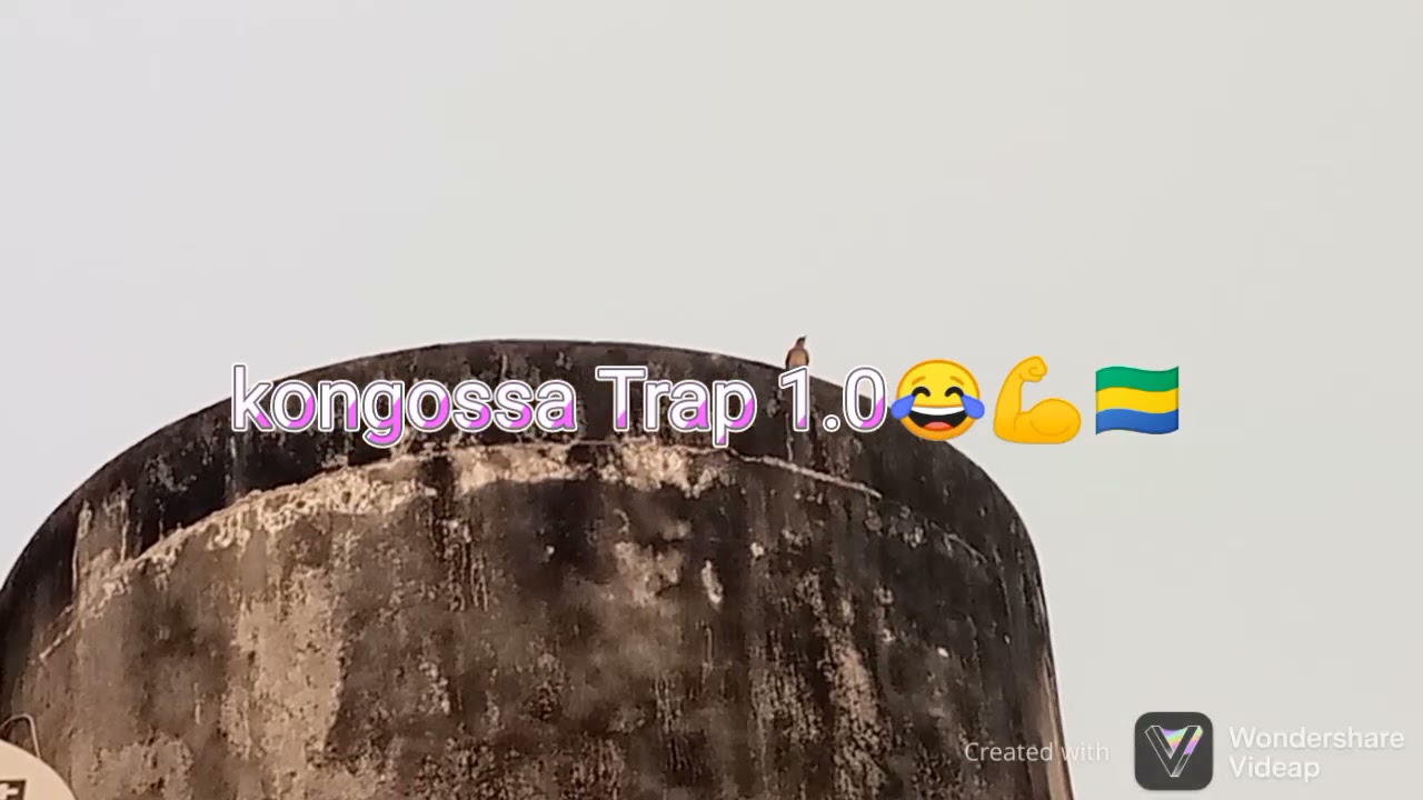 in-jam's zetrei présente_la mégae familly dans kongossa Trap 1.0
