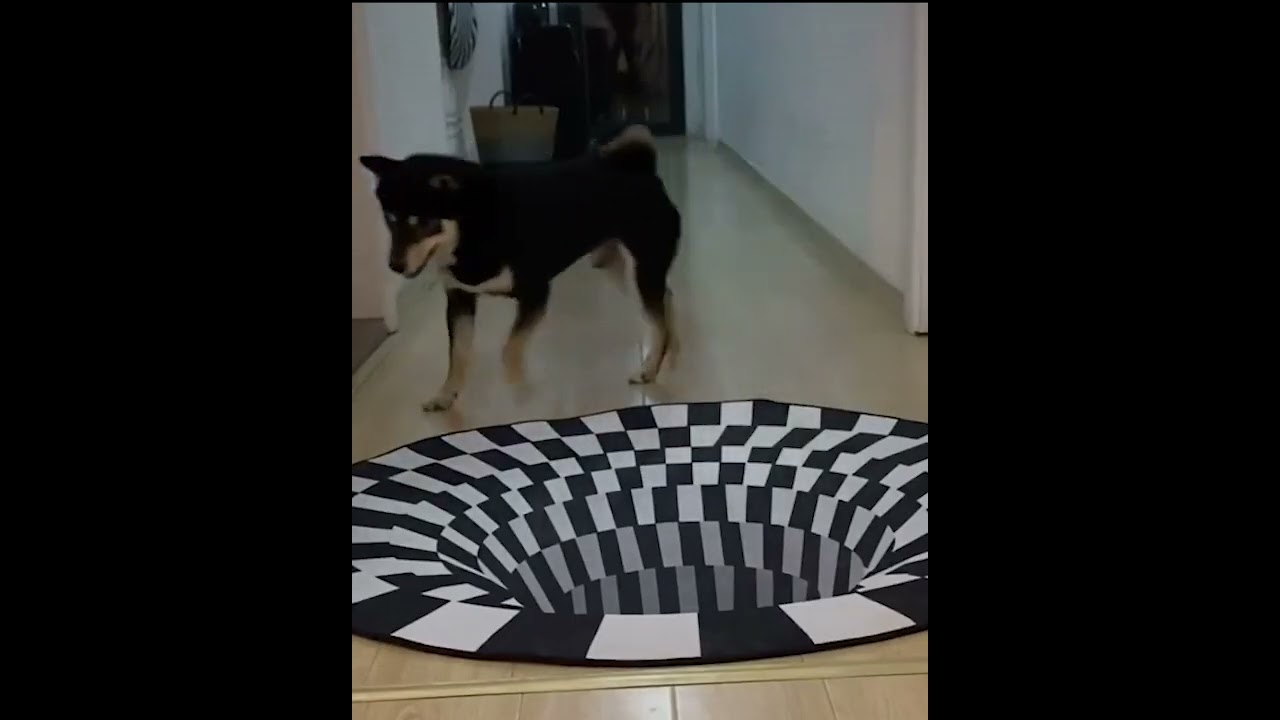 3D Vortex Illusion Carpet